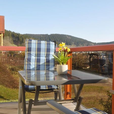 Hermannsteinblick Ilmenau Exterior foto